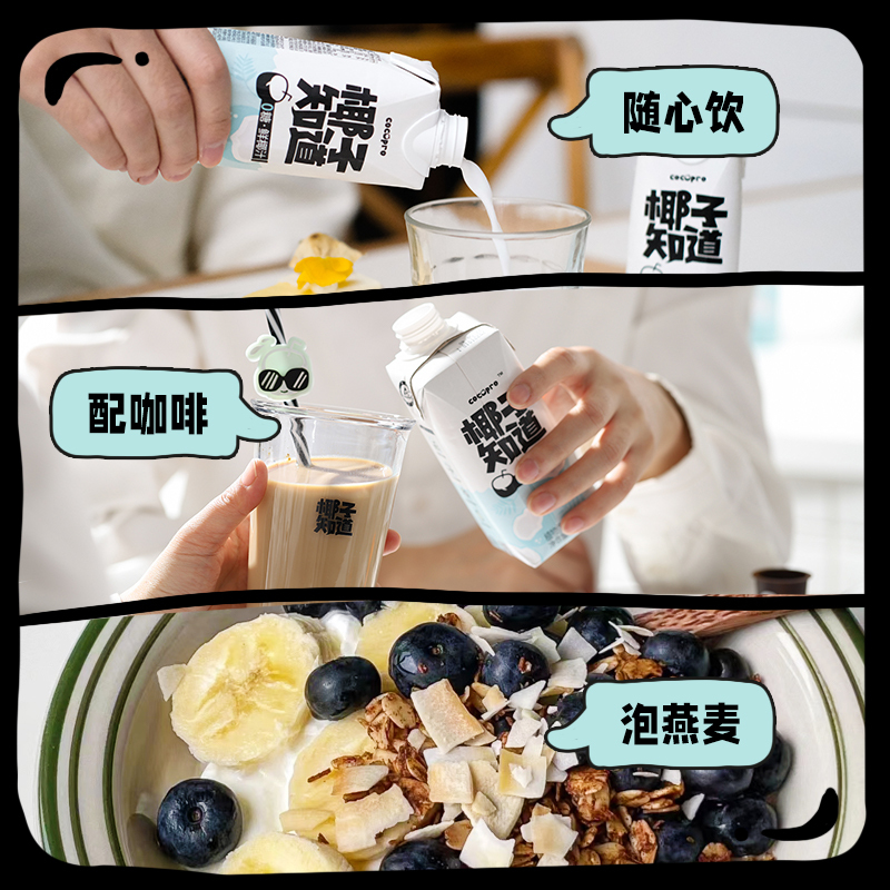 椰子知道0糖鲜椰汁 植物蛋白饮料6瓶装 礼盒装