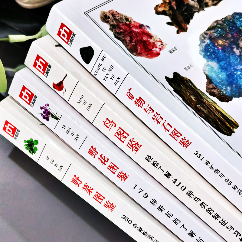 [正版]4册 矿物与岩石图鉴 231种矿物与65种岩石鉴别指南 鸟图鉴 野菜图鉴野花图鉴 收藏爱好者鉴别指南自然科学读高清大图