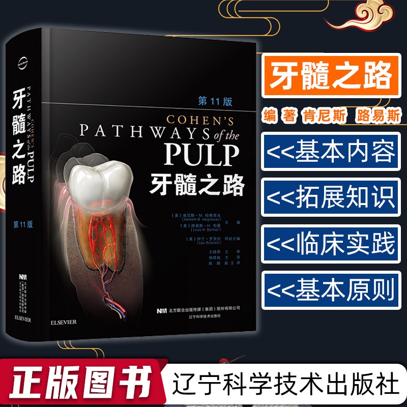 [醉染正版]正版牙髓之路第11版第十一版牙体牙髓病学临床牙髓再生技术口腔书籍牙科牙髓治疗根管治疗图谱医学类专业书籍根管治高清大图