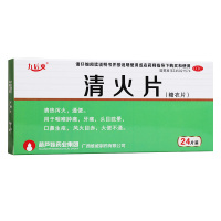 清火片(糖衣片) 24片