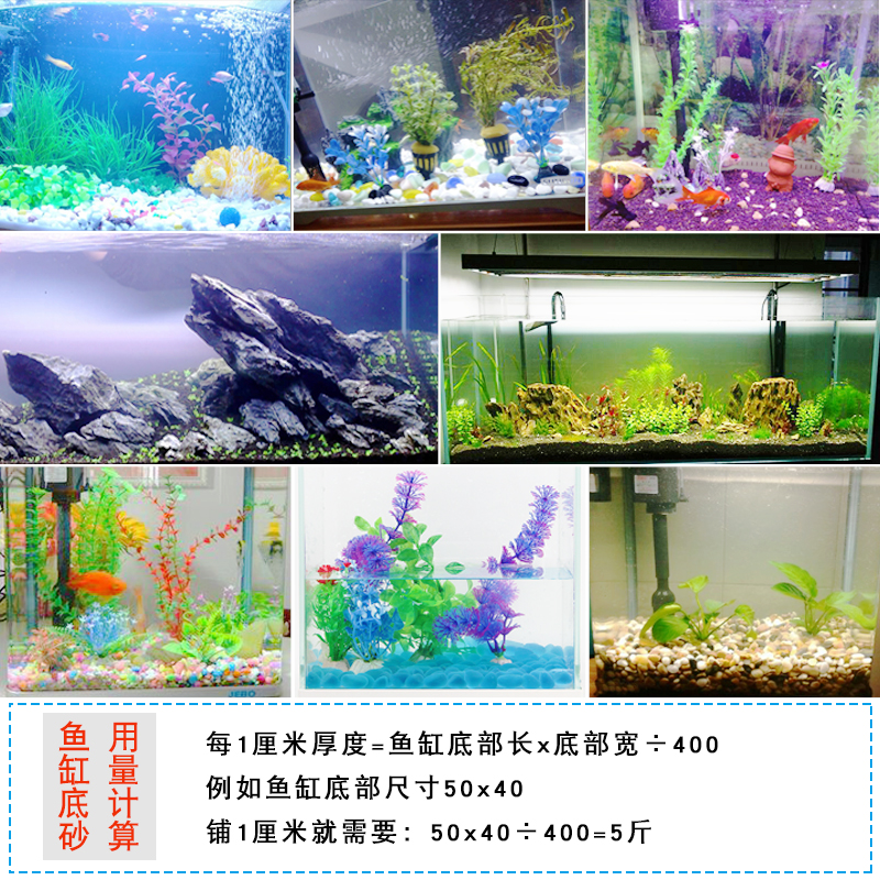 鱼缸底砂装饰造景石河沙底砂珊瑚石白沙溪流金海沙雨林水晶石头高清大图
