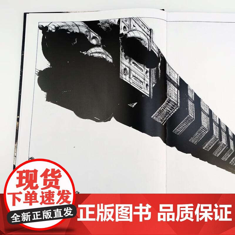 克隆达芬奇 法斯特凡纳勒瓦卢瓦湖南美术出版社高清大图