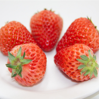 [顺丰配送]1号鲜客(FRESHMAN) 新鲜草莓4盒装(约250g/盒)红颜四季双流草莓 新鲜水果