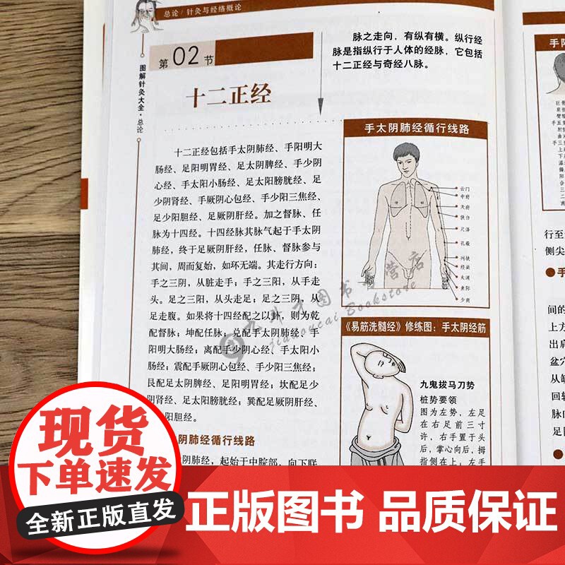 图解针灸大全/中医经络穴位正版书针炙学全书入门刺血疗法全一针疗法马氏温灸法黄帝内针灸绳基本功大成甲乙经针灸秘验与绝招书籍高清大图