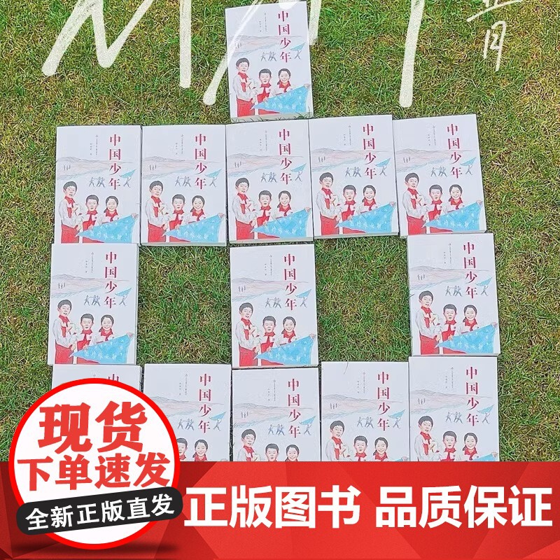 中国少年韩青辰 著 儿童文学长篇小说7-14中小学生课外阅读书籍二三四五六年级红色历史阅读 儿童成长小说寒暑假读物高清大图