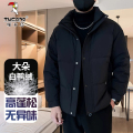 啄木鸟羽绒服男士冬季潮流纯色立领休闲百搭轻薄保暖白鸭绒外套男