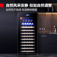 德玛仕(DEMASHI)红酒柜 小型家用电子智能红酒雪茄一冰吧展示柜 时尚家庭/咖啡餐厅款-80瓶装恒温酒柜