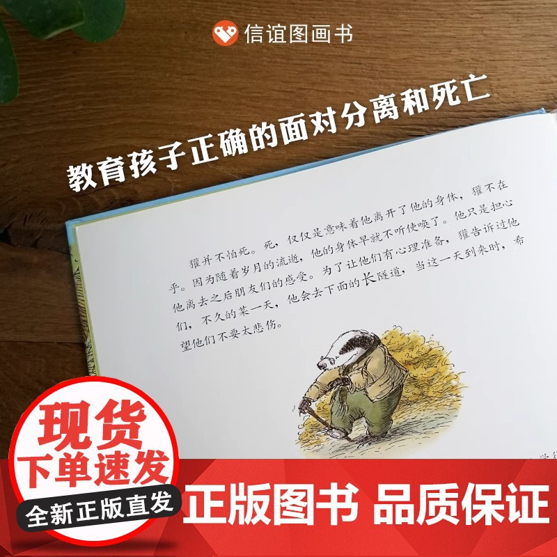 [精装硬壳]獾的礼物儿童绘本鹅妈妈童书奖3-4-6-8-10岁少儿童启蒙绘本故事一二三课外经典童话故事书籍正版少年儿童明高清大图