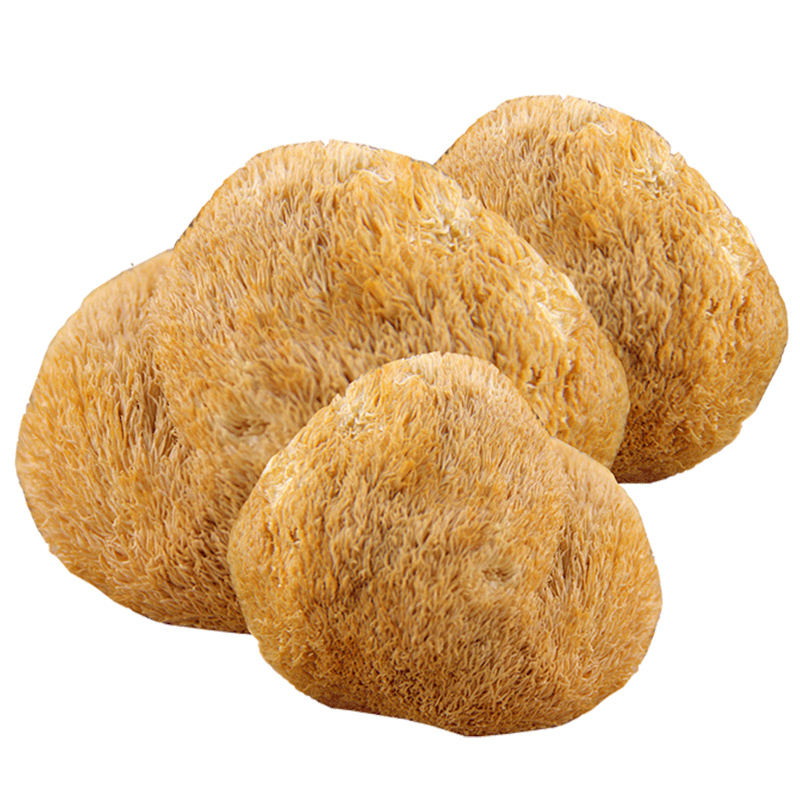 秦川印象 猴头菇80g/罐高清大图