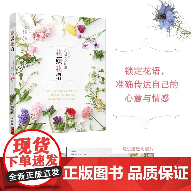花颜花语 197种实用的四季花卉手册和花语图鉴 花艺书籍诞生花星座守护花花图鉴花店花养花花语植物图鉴大全书明信片宇田川佳高清大图