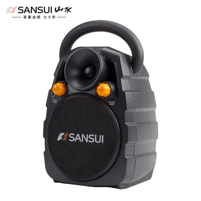 山水(SANSUI) SS3-06 广场舞音响便携式一体机手提音响带插卡蓝牙音箱 黑色