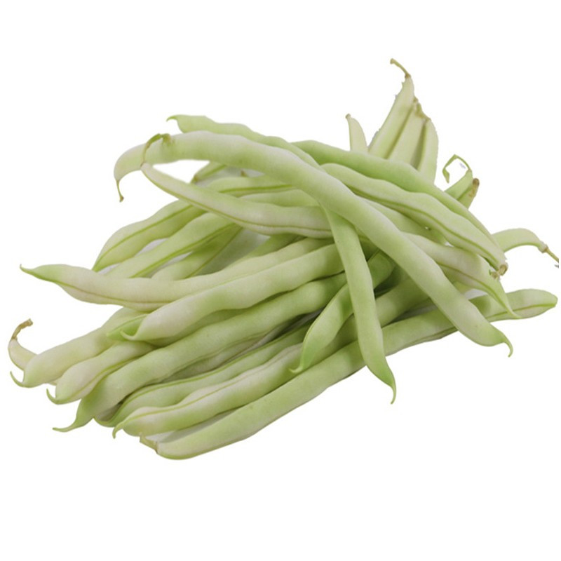 25kg顺丰东北白豆角农家新鲜蔬菜四季豆芸豆白架豆白不老视频
