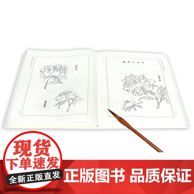 芥子园画传第三集 花卉玲毛 修订版高清大图