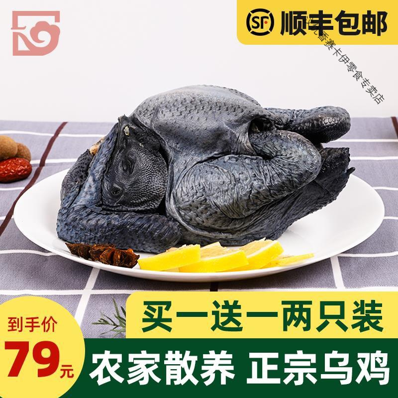 散养乌鸡 乌骨鸡现宰速冻新鲜鸡笨鸡土鸡白羽乌鸡滋补月子鸡 乌鸡一只(1000g)送料包