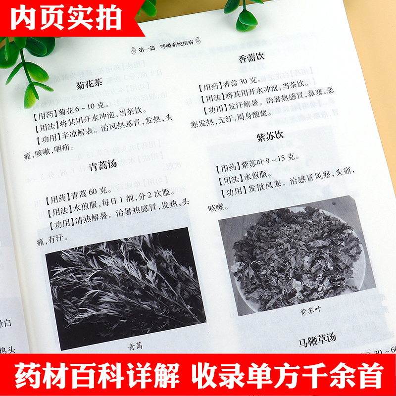 土单方书张至顺正版大全3册民间实用中国小方子治大病祖传秘方张至顺道长草药书三册中国医书大全老偏方百病食疗补中药方剂中医书高清大图