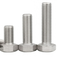 幸庭 不锈钢外六角螺栓 M20*70 个