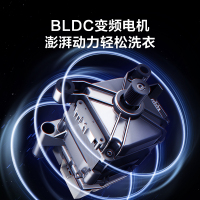 美的(Midea)滚筒洗衣机全自动 10公斤大容量 巴氏除菌洗 专业羽绒服洗 BLDC变频电机 MG100QY1