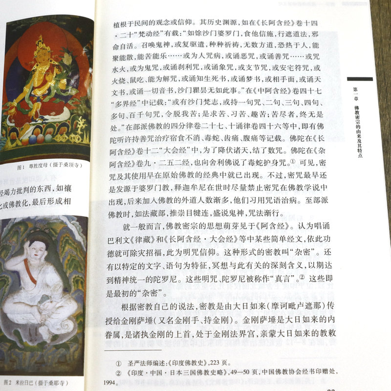 [正版]密宗:藏传佛教神秘文化 藏传佛学及其密教的历史渊源文化习俗和建筑艺术书籍高清大图
