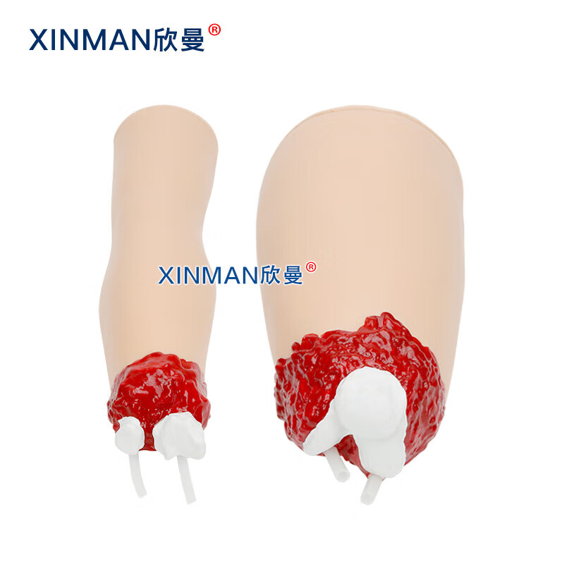 欣曼科教 上下肢外伤断肢包扎止血模型 控制出血手臂与大腿模型XM-H708高清大图