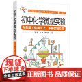 初中化学微型实初