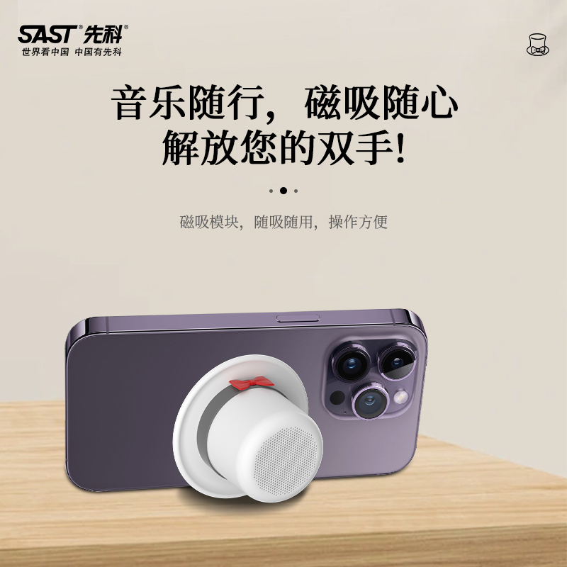 先科(SAST)多功能插卡蓝牙收音机 M2 白色立体环绕长效续航大容量精致小巧简单便携