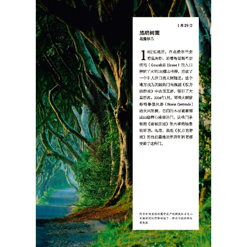 醉染图书一树9787504696731高清大图