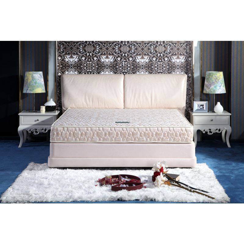 梦斯蓝床垫加厚床垫健康护脊床垫高级健康12米15米18米适中硬度两用