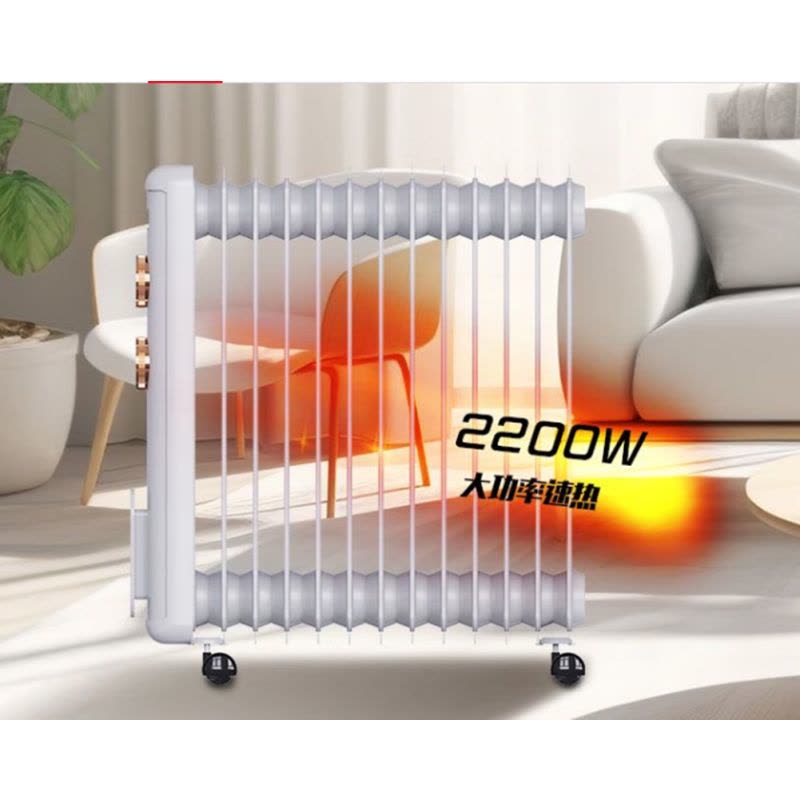 澳柯玛(AUCMA) 电热油汀NY22H33-13图片