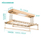 四季沐歌(MICOE)四季沐歌 电动晾衣架 阳台遥控自动照明 风干 消菌 升降智能晾衣机 LED+风干+消菌