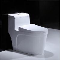 家用抽水虹吸冲力防臭坐便器卫生间厕所马桶脲醛盖板350坑距其他/other