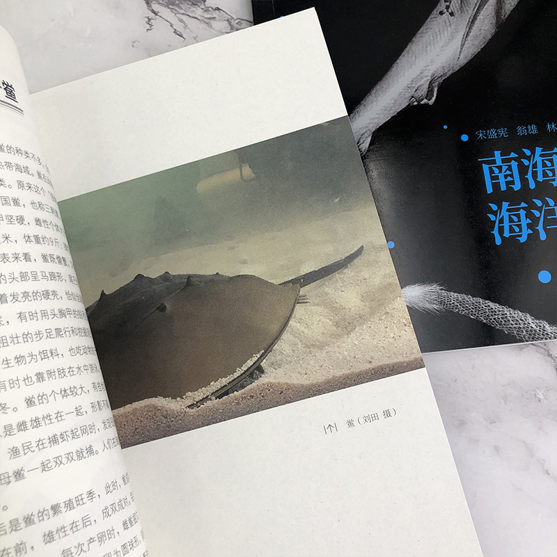 [醉染正版]南海诸岛海洋生物奇趣 宋盛宪 南海珊湖礁鱼类贝类棘皮动物爬行动物海洋动植物科普书籍 中小学生课外读物海洋生高清大图