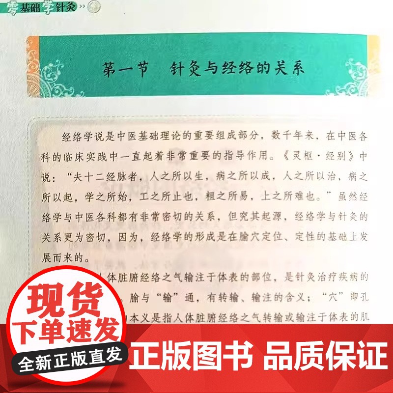 正版 零基础学针灸 针灸学基础理论针灸方法穴位书针灸入门针灸书籍针灸大成中医书籍大全中医诊断学医书籍大全中医自学书高清大图