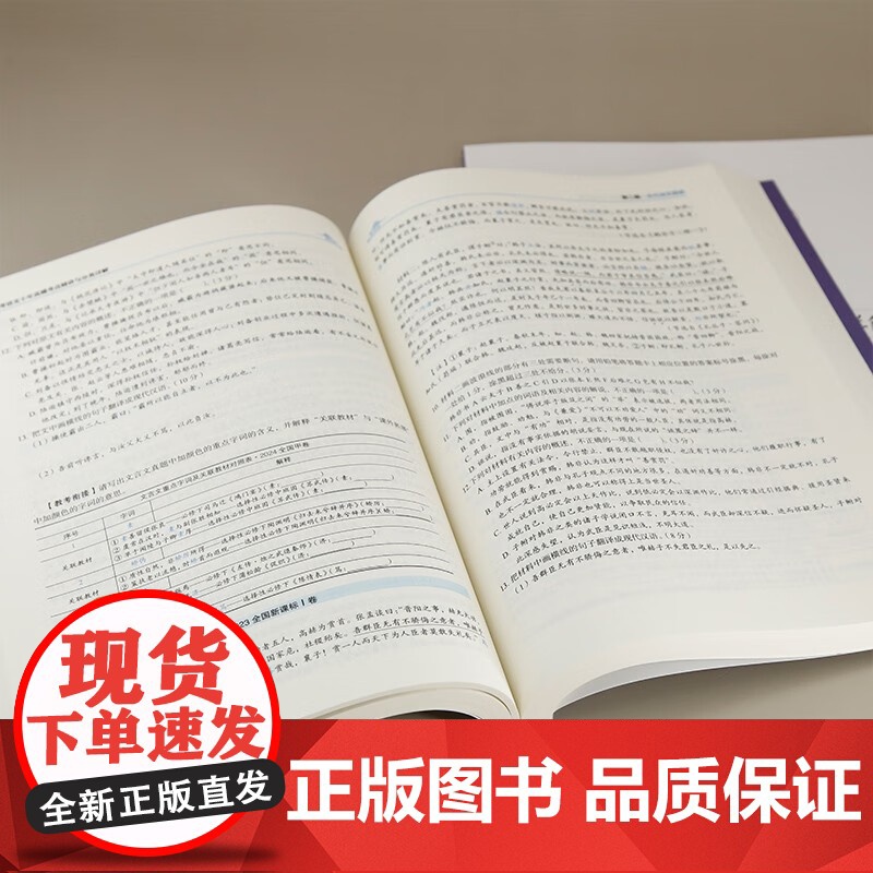 高考语文十年真题考点精讲与分类详解 谢明波 著 中小学教辅高清大图