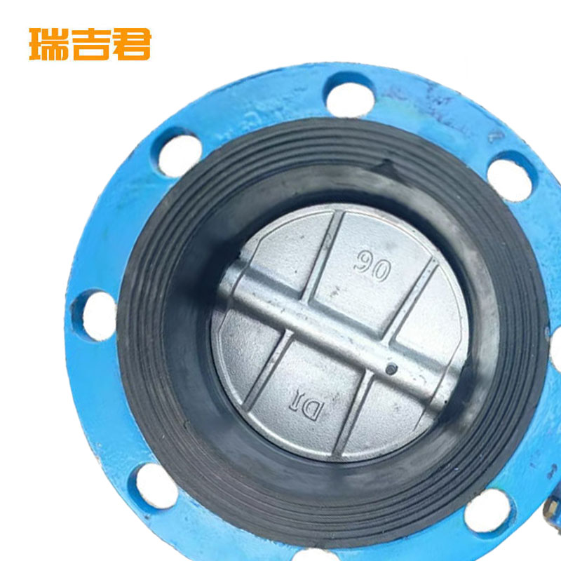 瑞吉君 法兰蝶阀 DN100 个高清大图