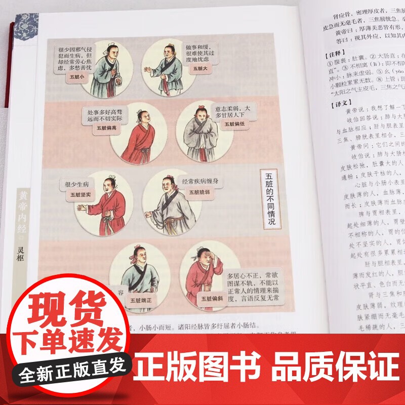 抖音同款黄帝内经本草纲目易经[全3册]正版原文白话文版图解皇帝内经全注全译彩图中医基础理论十二经脉揭秘与应用养生书籍高清大图