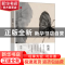 正版 秋莲 陶纯著 长江文艺出版社 9787570207084 书籍