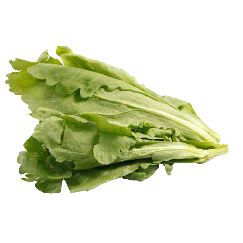 七果果 蓬蒿菜 500g 新鲜as