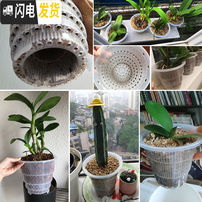 三维工匠美莳控根花盆石斛专用盆 透气 洋兰花盆蝴蝶兰盆塑料花盆创意透明 5套10cm外咖内透明+托 小花盆容器