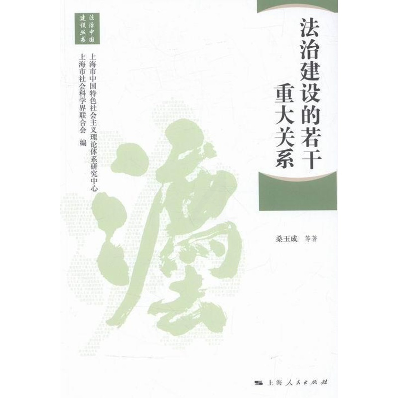 [正版]法治建设的若干重大关系桑玉成等社会义法制建设研究中国 书法律书籍