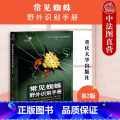 【正版】中法图 常见蜘蛛野外识别手册 重庆大学 蜘蛛分类系统生物学经济价值识别特征常见种类 博物学自然科普昆虫学 庆正