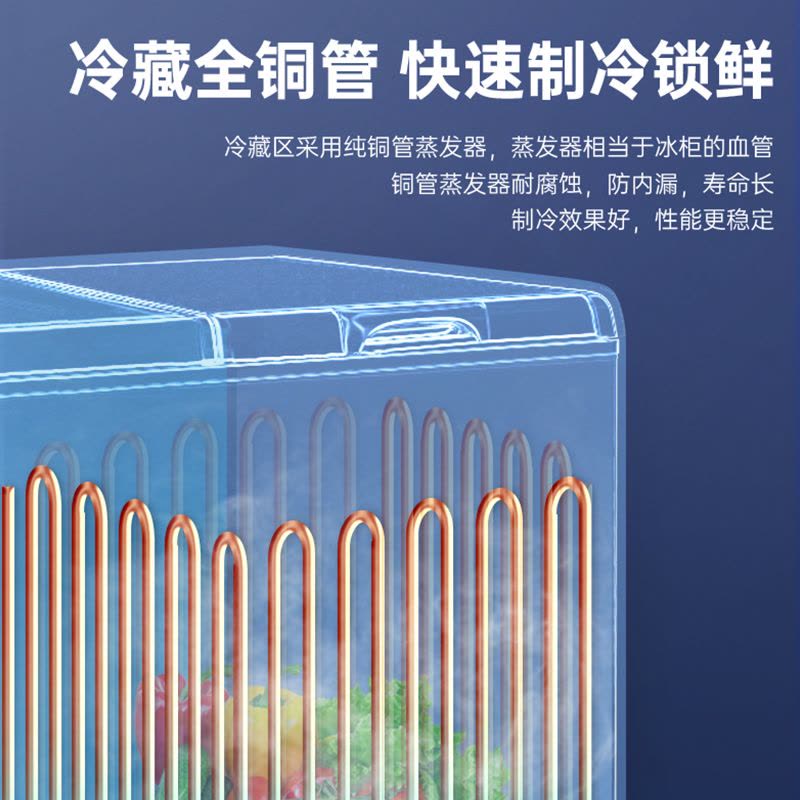 澳柯玛BCD-200CNE家用卧式双温双箱顶开冰柜冷冻冷藏冷柜冰箱图片