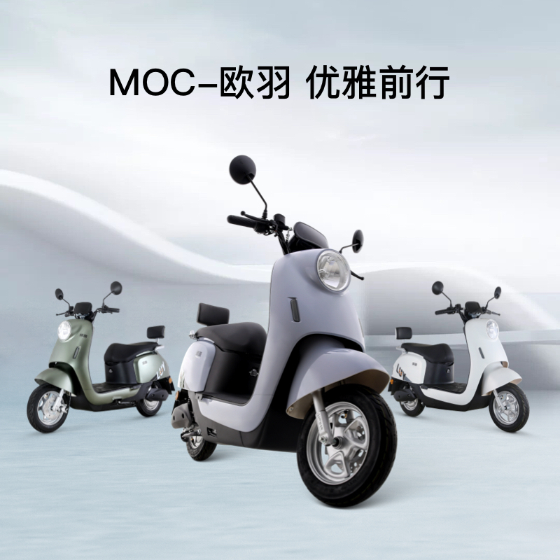 绿源电动车60v20a电动轻便摩托车上下班通勤时尚代步电瓶车moc