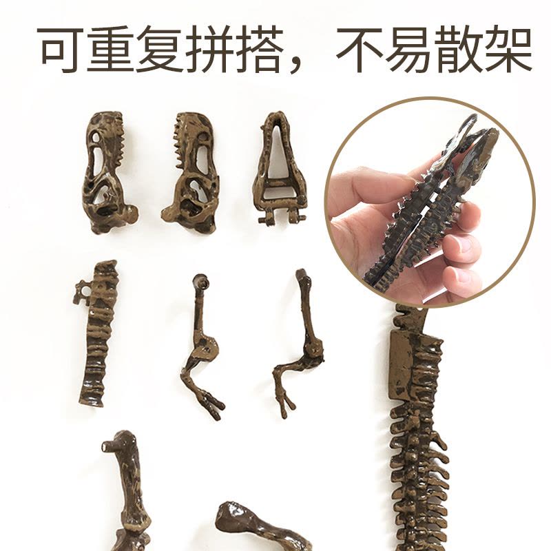 恐龙化石考古科学实验科技制作创客DIY石膏挖掘模型玩具 [霸王龙+剑龙]+考古化石套装图片