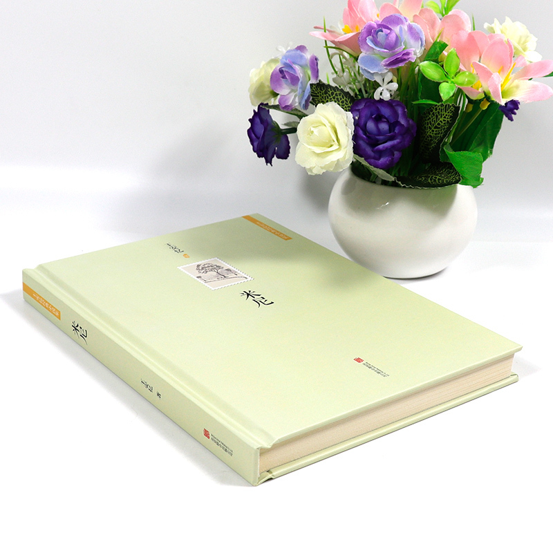 经典小说集米尼//放大的时间长恨歌老康回来黑弄堂天香书籍>800_800