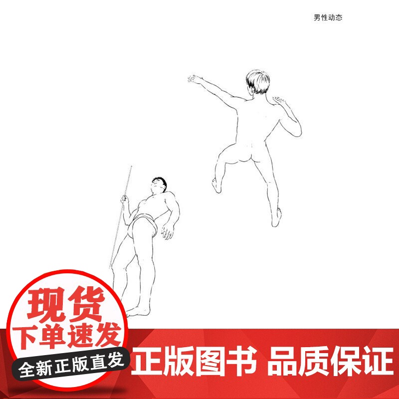 人体速写动态大全 一本绘画初学者参考手册 人物动作绘制临摹 线描动态人物场景对照人物 速写书籍 美术绘画书籍 人体素描书高清大图