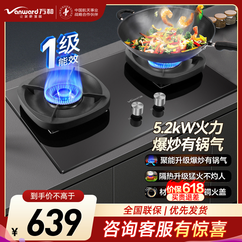 万和(Vanward) 超一级能效天然气双灶 双眼燃气灶 单灶具 5.2KW火力钢化玻璃 可调底座G6L50