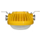 CARY KLE1020 24W IP68 6000K 220VAC LED防爆灯 (计价单位:盏) 黄色