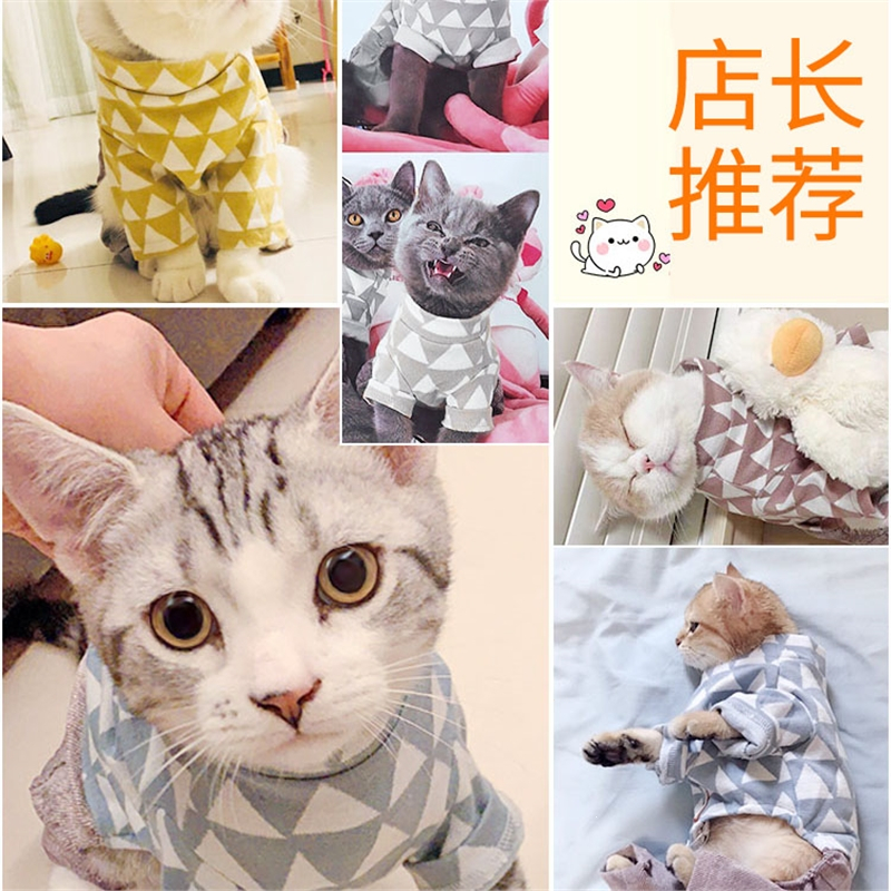猫咪衣服猫猫米妮英短小猫幼猫布偶春秋夏季薄款宠物四脚装秋季
