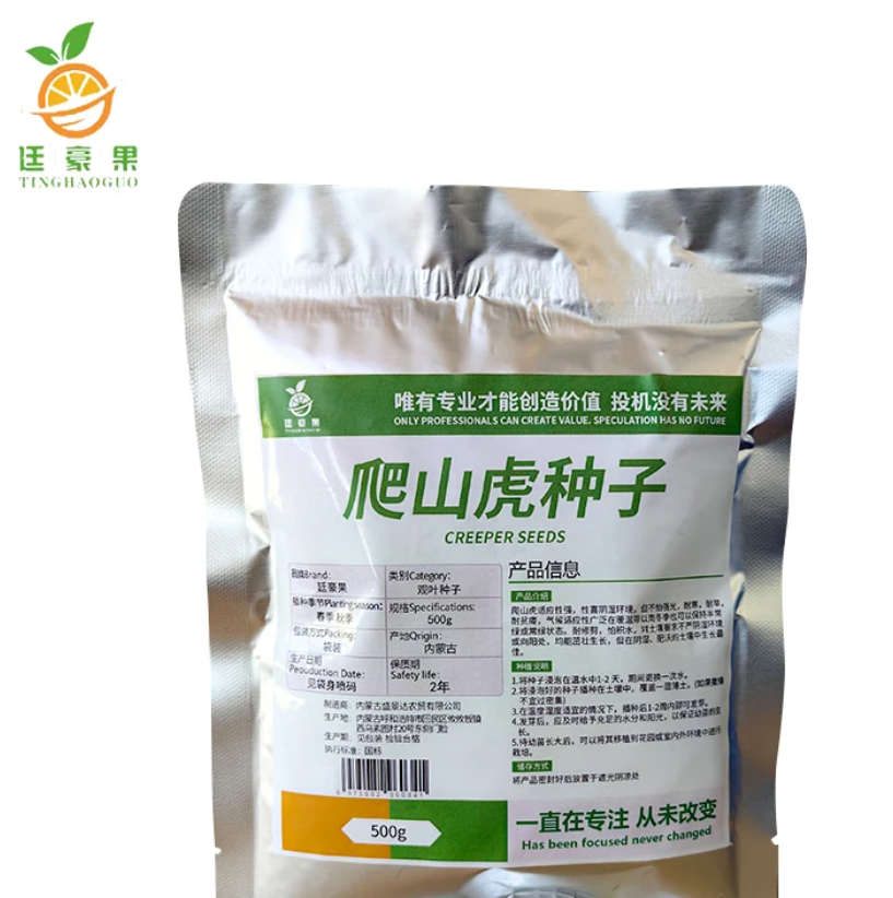 廷豪果 爬山虎种子 5叶爬山虎种子 500g/斤高清大图