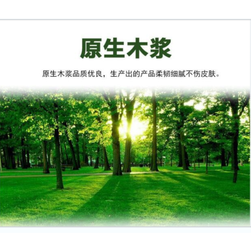 得丰大卷纸 1箱12盘1盘650克 /箱